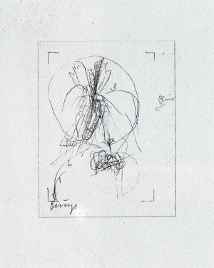 博伊斯 -  Zeichnungen祖抄本马德里·冯·达·芬奇，1975年