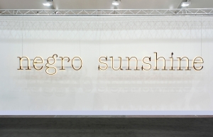 Glenn Ligon - Warm Broad Glow II, 2011, neon, paint, and powder coated aluminum