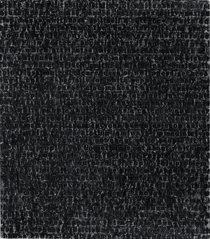 Glenn Ligon-White#5，1993，亚麻布上的油条和石膏