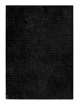 Glenn Ligon-White#9，1993，亚麻布上的油条和石膏