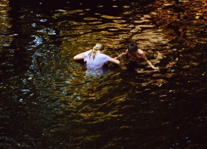 莎朗洛克哈特-松树公寓，2005年，16毫米电影