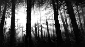 罗伯特朗戈-无标题（辛德尔芬根，2009年7月23日，库尔特等在阿拉卡迪亚的自我），2009年