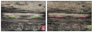 Sterling Ruby  -  SP272（1），SP272（2），2014